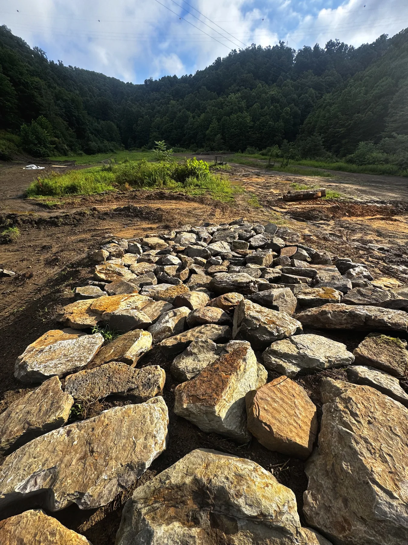 Rock garden