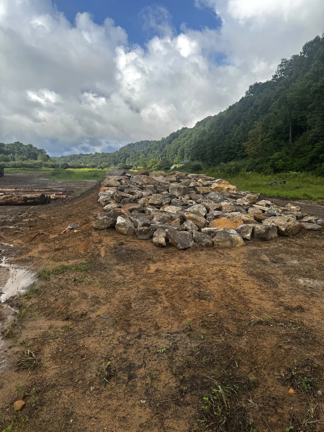 Rock garden